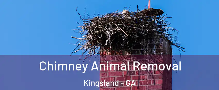  Chimney Animal Removal Kingsland - GA