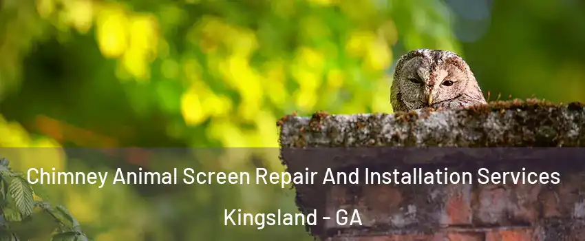  Chimney Animal Screen Repair And Installation Services Kingsland - GA