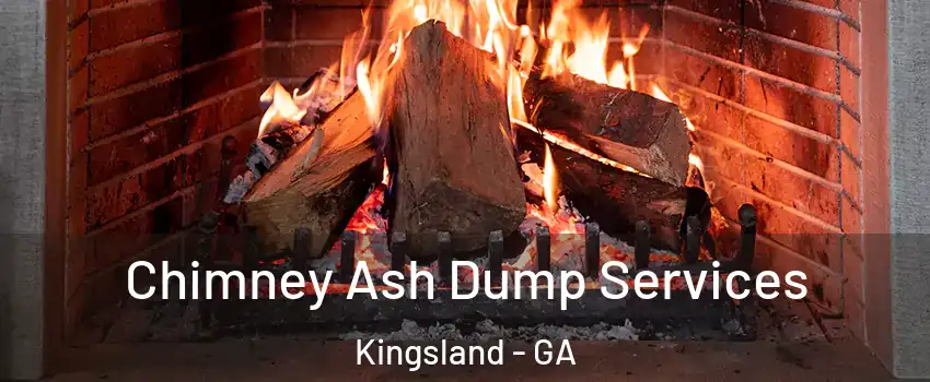  Chimney Ash Dump Services Kingsland - GA