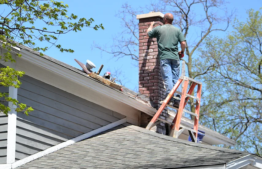 Chimney & Fireplace Inspections Services in Kingsland, GA