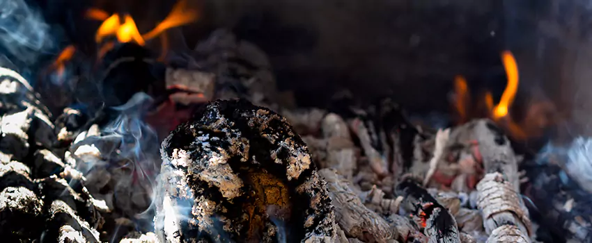 Creosote Removal Experts in Kingsland, GA